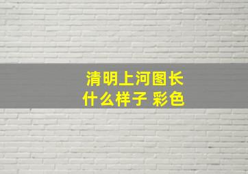 清明上河图长什么样子 彩色